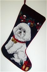 Bichon Frise
